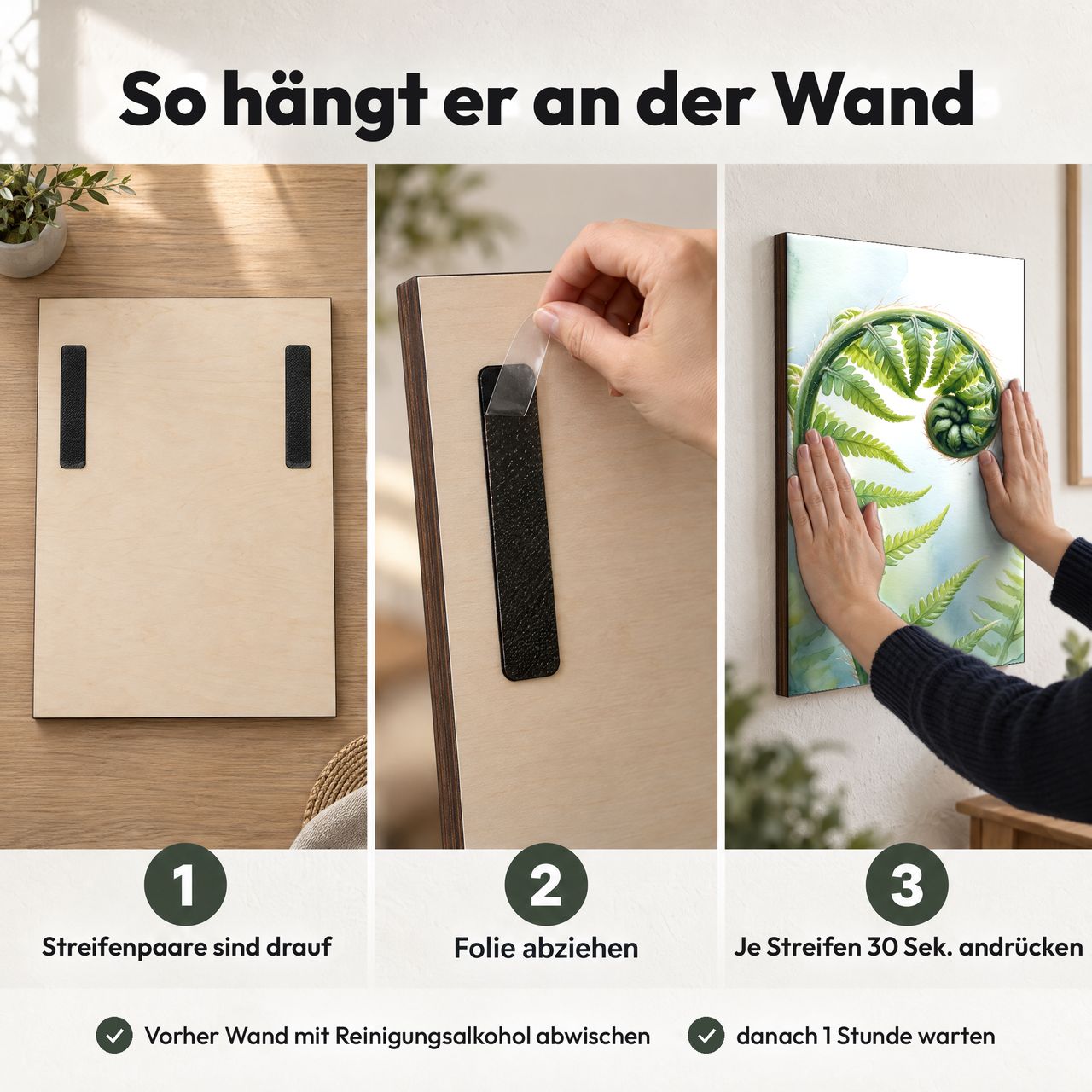 Holzposter Entfaltender Farnwedel im Tageslicht in 3 Schritten an der Wand: Streifen sind drauf, Folie abziehen, andrücken