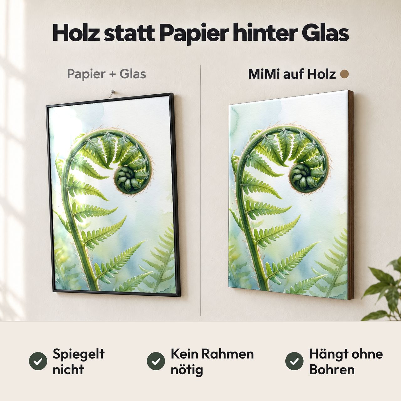 Holzposter Entfaltender Farnwedel im Tageslicht im Vergleich: Papier hinter Glas spiegelt, MiMi auf Holz nicht