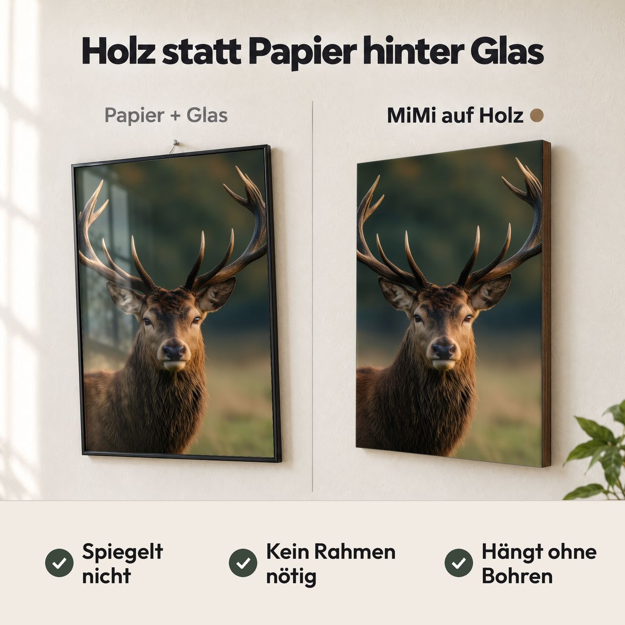 Holzposter Hirsch im goldenen Abendlicht im Vergleich: Papier hinter Glas spiegelt, MiMi auf Holz nicht