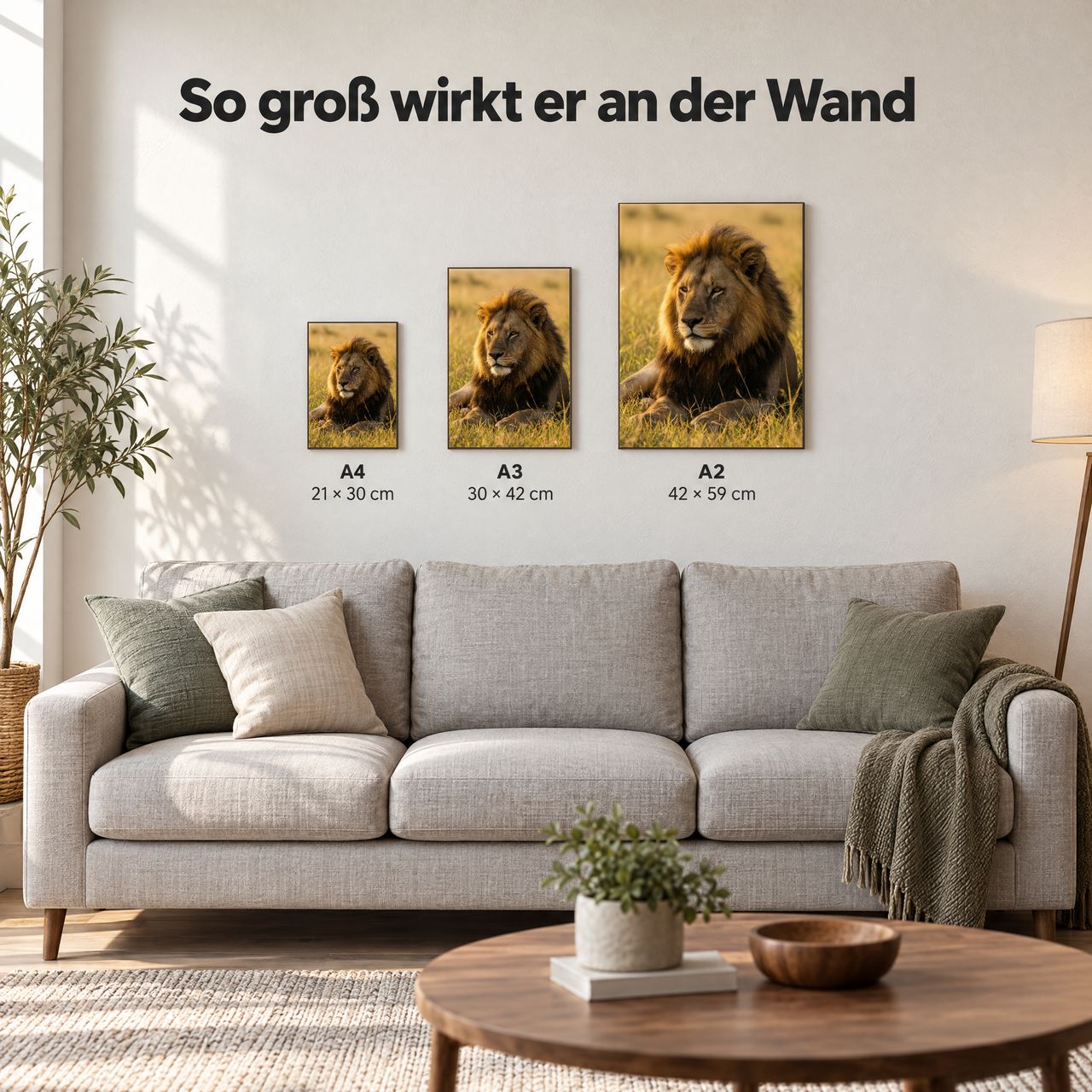 Holzposter Löwe im Abendlicht auf goldener Savanne in A4, A3 und A2 an der Wand über dem Sofa: so groß wirkt er