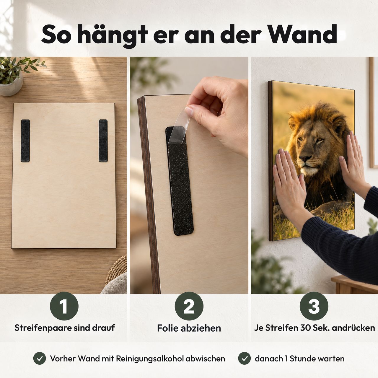 Holzposter Löwe im Abendlicht auf goldener Savanne in 3 Schritten an der Wand: Streifen sind drauf, Folie abziehen, andrücken