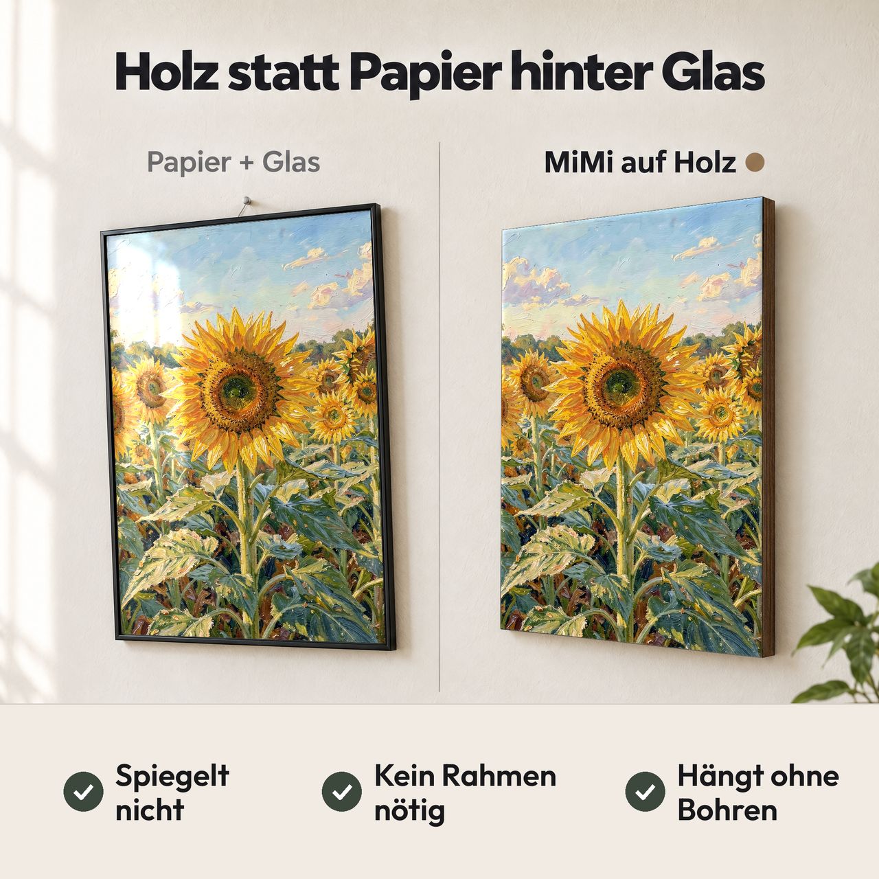 Holzposter Sonnenblumenfeld im Vergleich: Papier hinter Glas spiegelt, MiMi auf Holz nicht