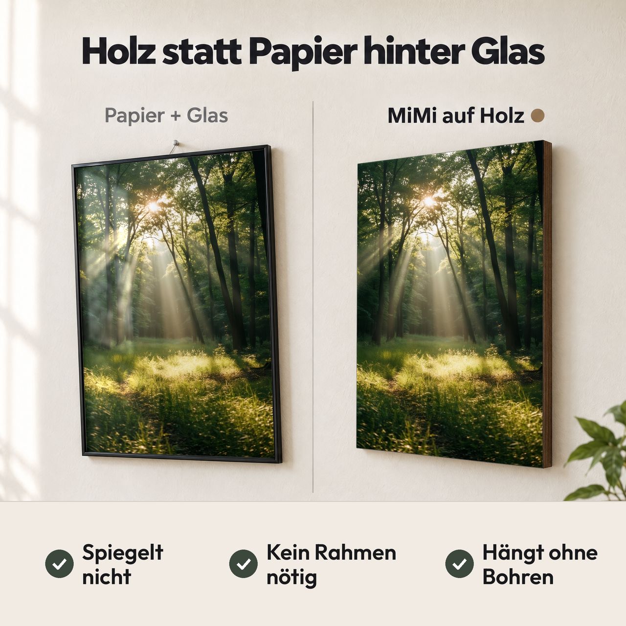 Holzposter Sonnenstrahlen im Waldlicht im Vergleich: Papier hinter Glas spiegelt, MiMi auf Holz nicht
