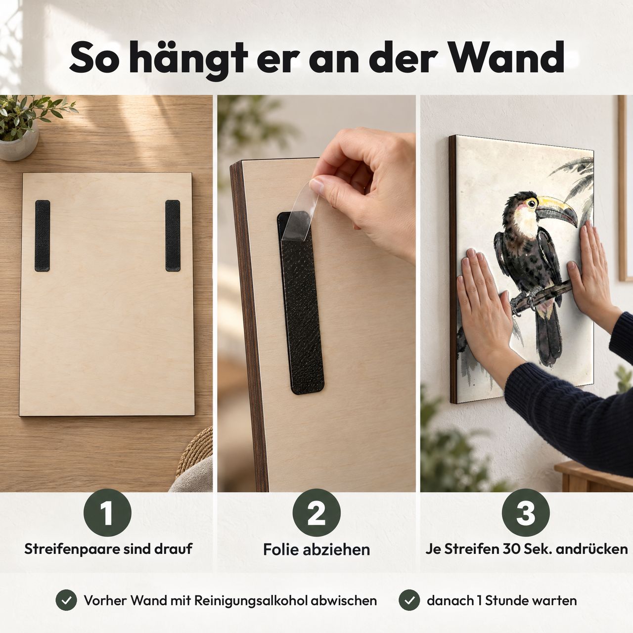 Holzposter Toucan auf Ast in 3 Schritten an der Wand: Streifen sind drauf, Folie abziehen, andrücken